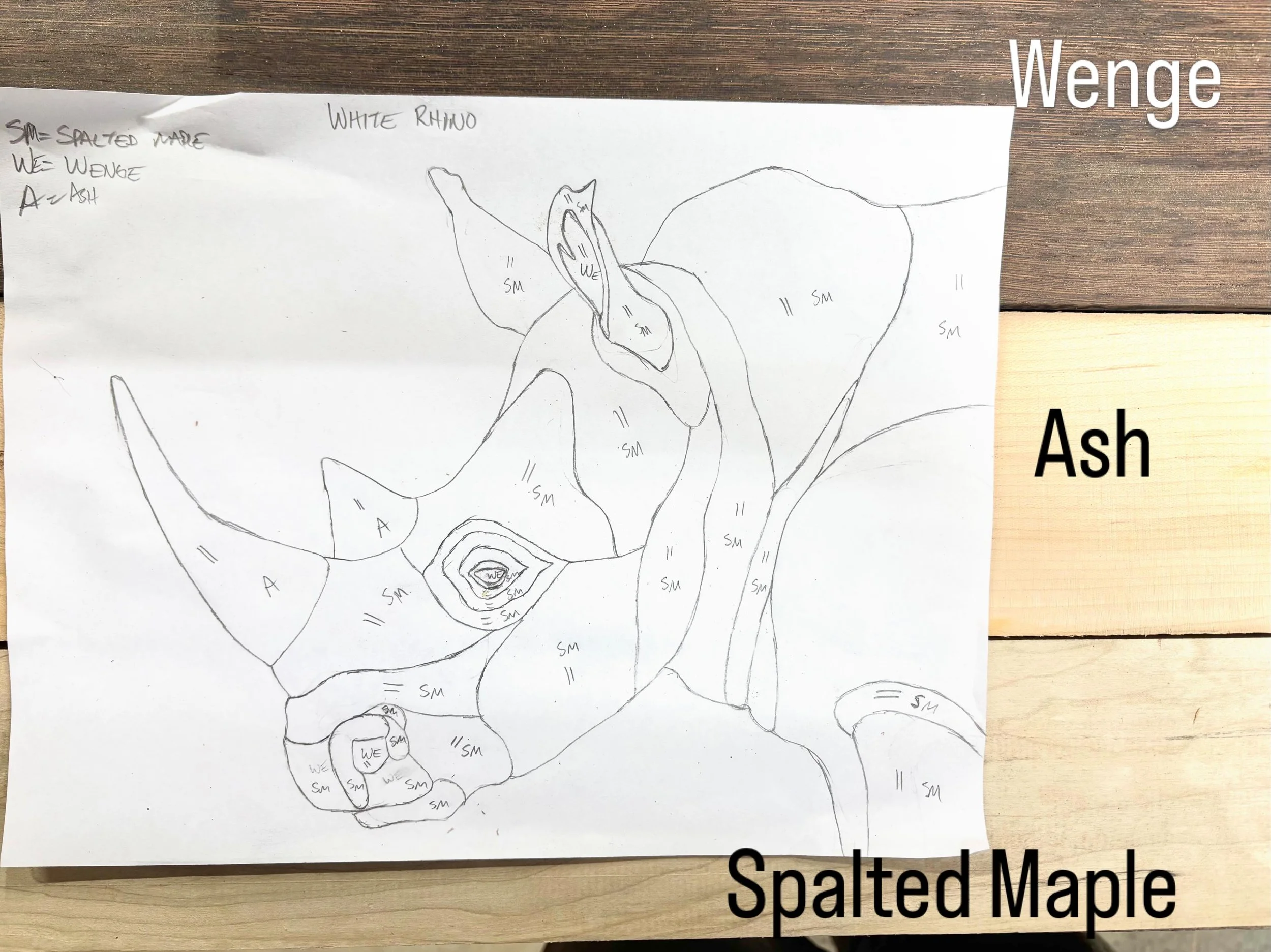 Monday Designs - White Rhino. 

@katieadamsonconservationfund
