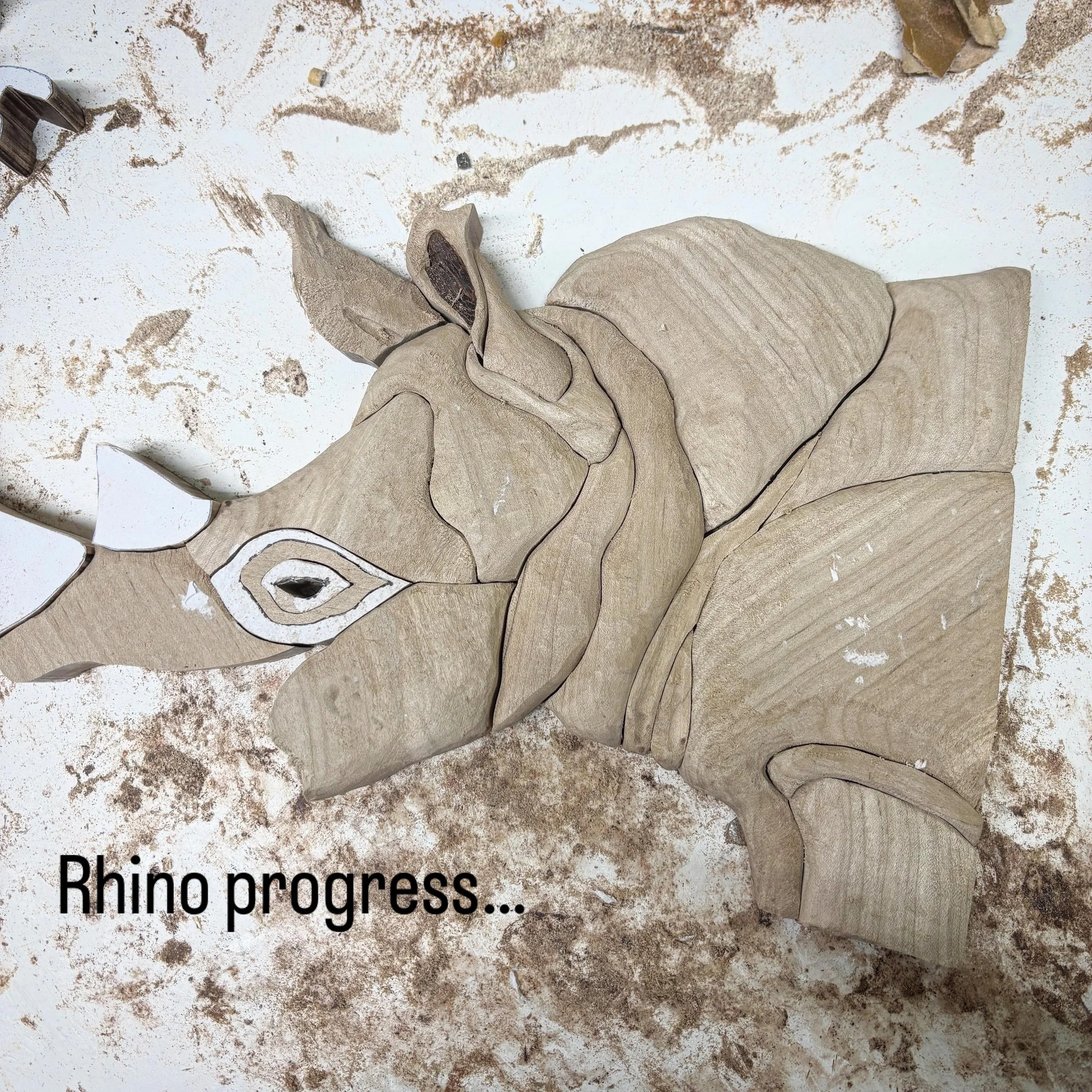 Mid-week progress.

#katieadamsonconservationfund