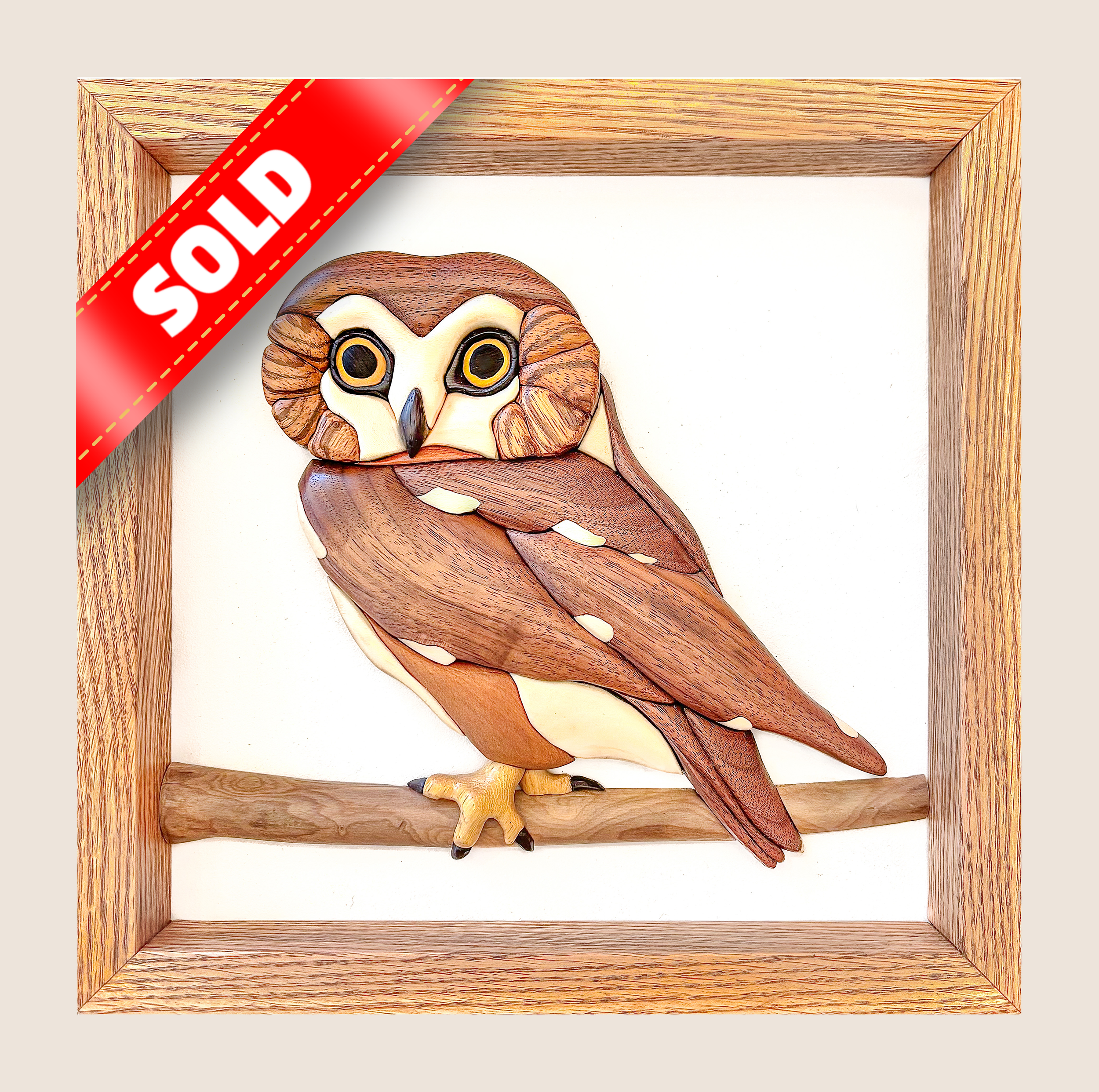Northern Saw-whet Owl