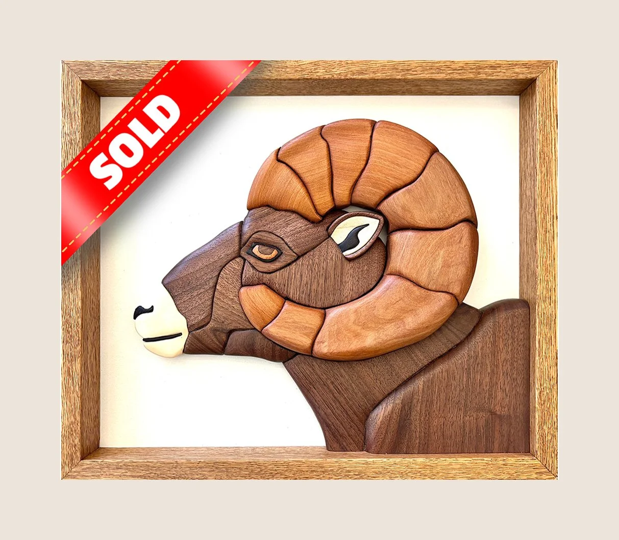 Bighorn Sheep