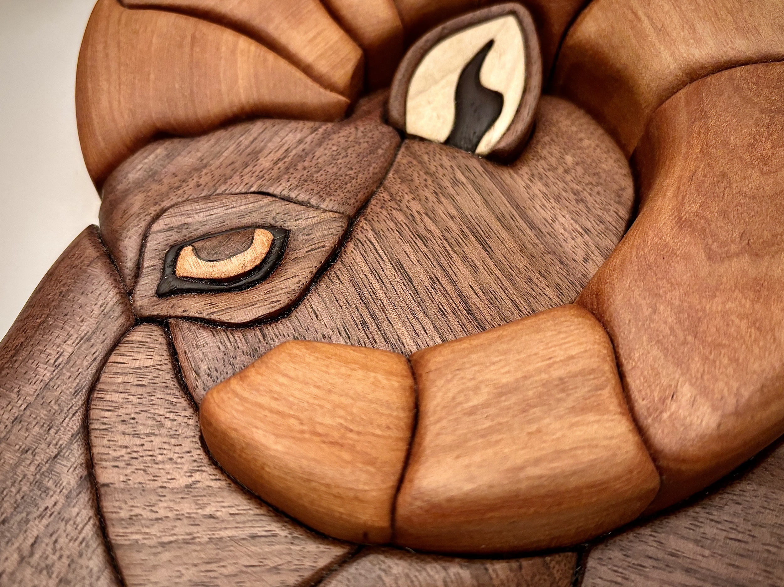 Screenshot 2026-02-02 at 9.08.11 am.png