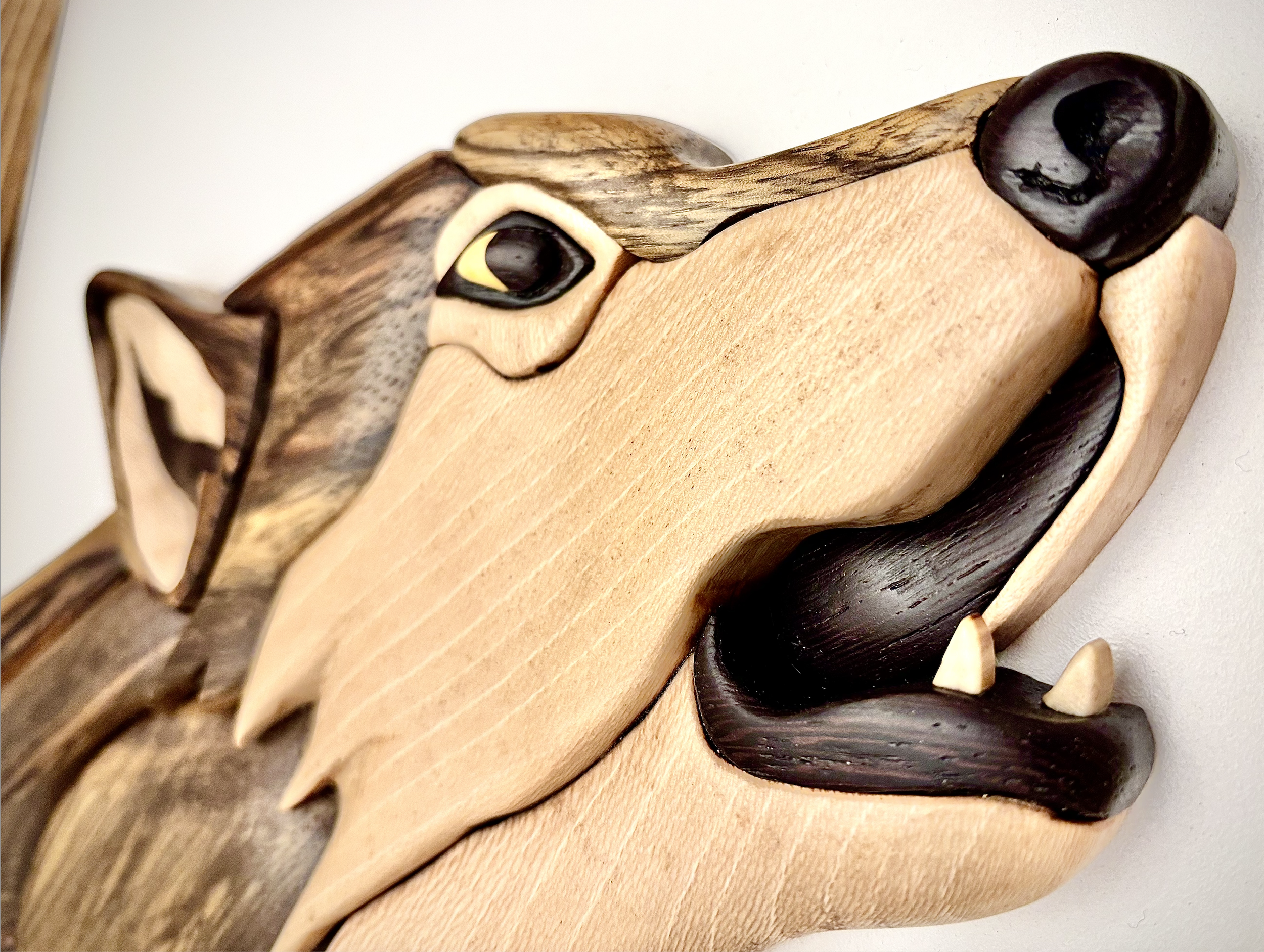 Screenshot 2026-02-07 at 6.03.55 pm.png