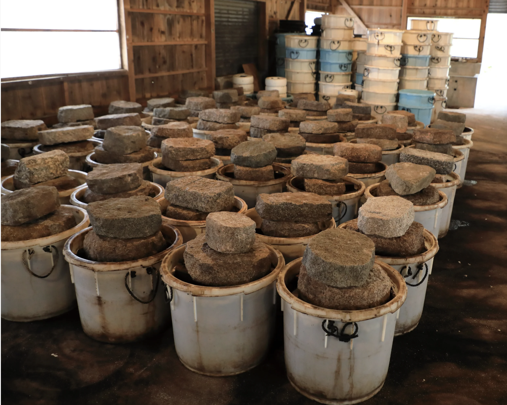 Shibazuke fermenting under stone weights in traditional tubs
