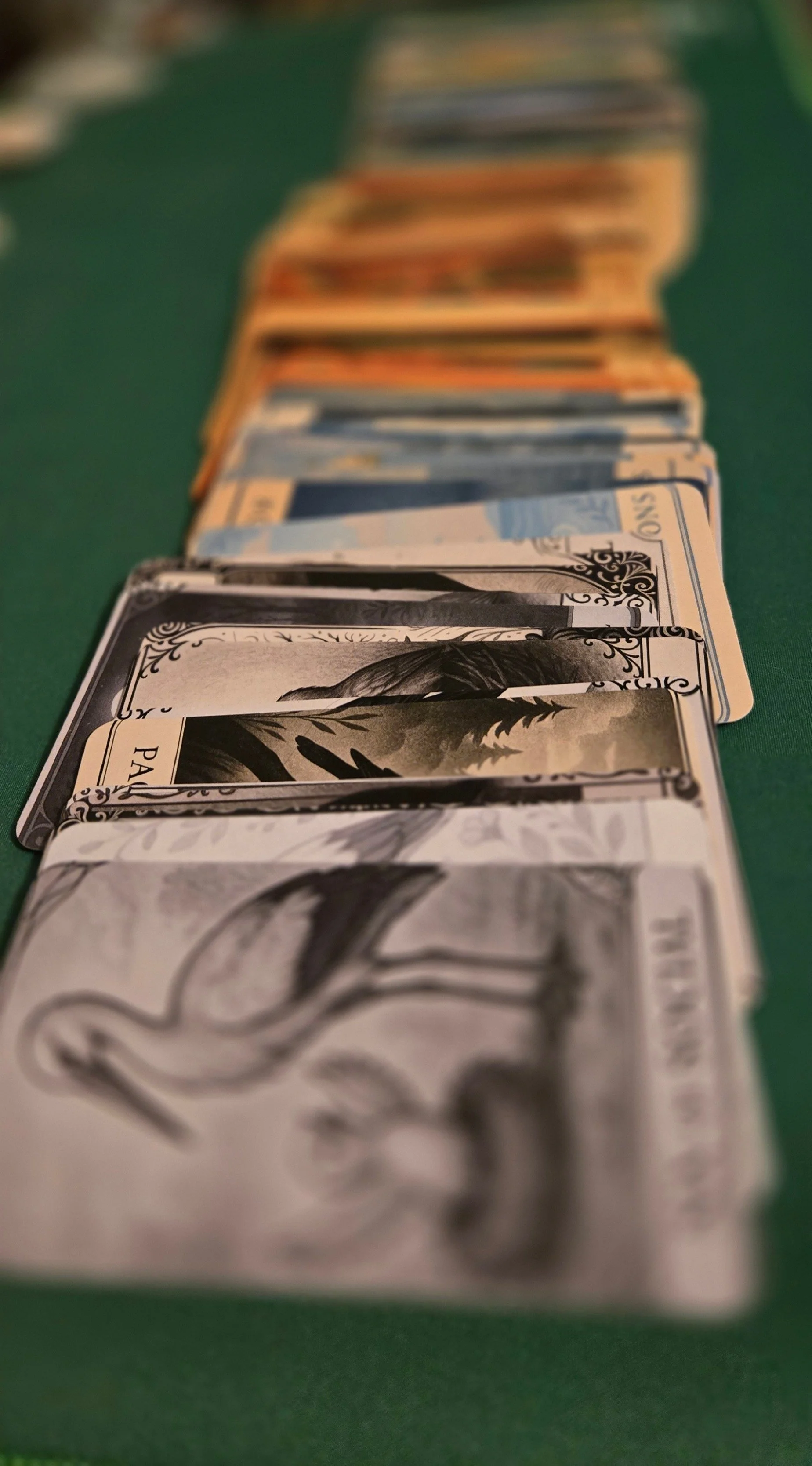 vertical fan focus on social suit cropped copy.JPG