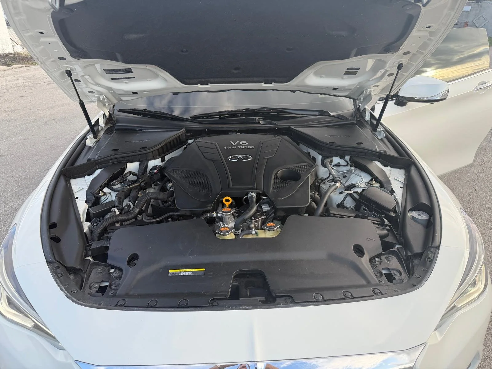 WhatsApp Image 20.jpeg