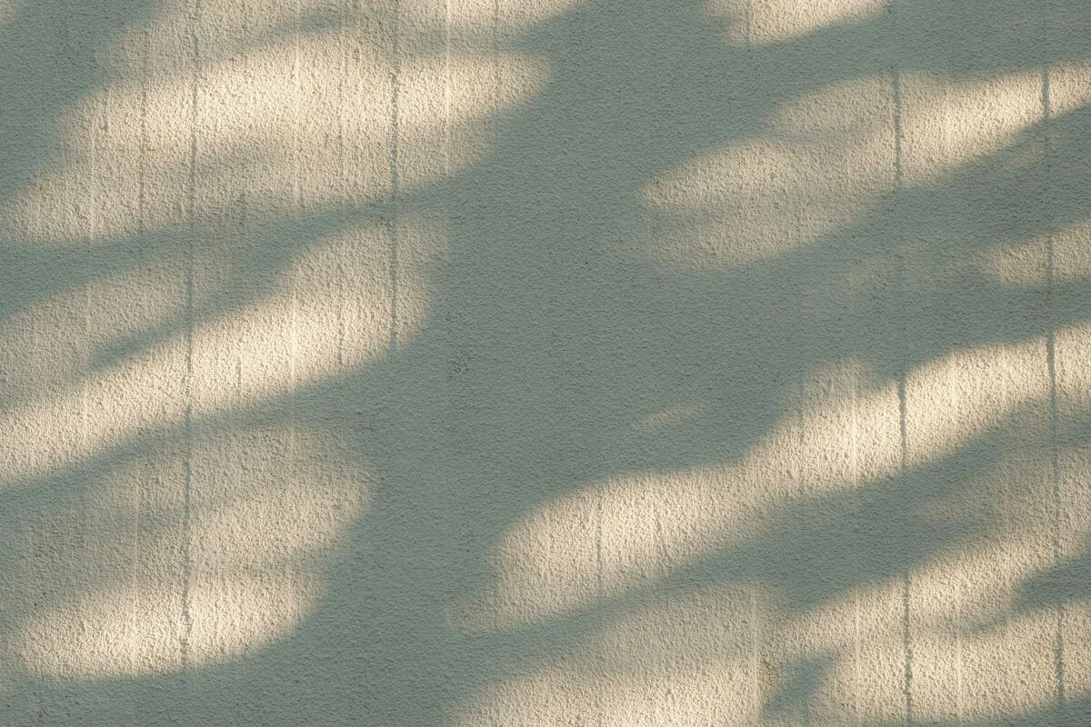 Shadows of tree branches cast on a textured beige wall.