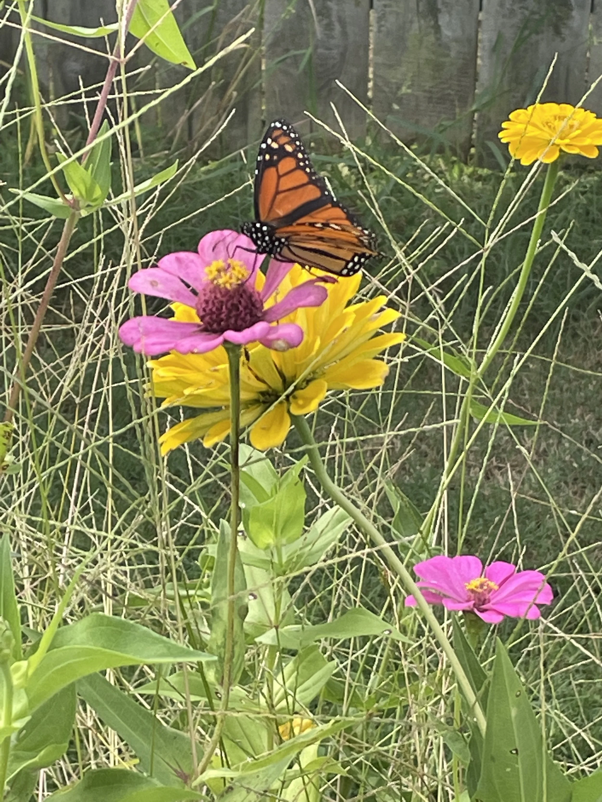 Is He Worthy? He is!