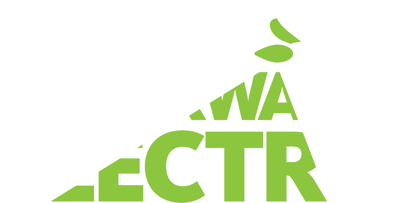 Logo for Clearwater Electric with the word 'CLEARWATER' in large white and green letters and an illustration of a smiling bee with green wings flying above it.