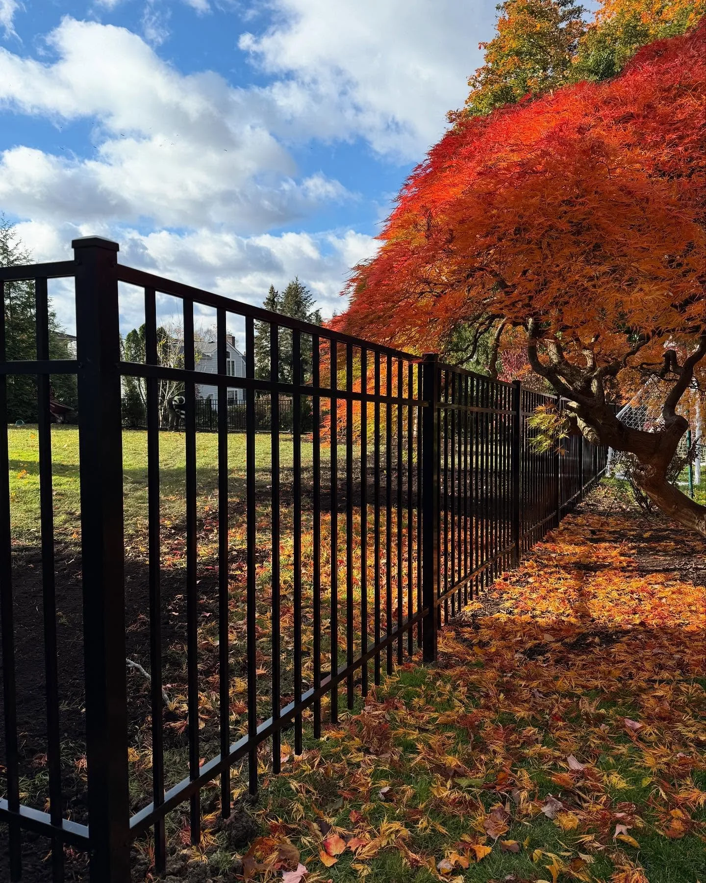 Our most popular, most versatile, fencing choice, the 4 ft black aluminum in this style. Really blends well with all homes. Maintenance free. We love it and more importantly, our clients do. Also pairs well with other fencing. Shown here the wood hor
