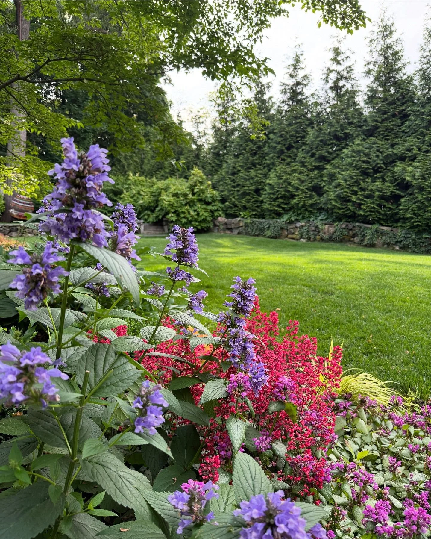 Plan + Install + Maintain = Enjoy 🌿
This yard was renovated 5 years ago. We sourced Arborvitae of varying heights to provide sufficient coverage when working with the slope. So much growth in these 5 years. It&rsquo;s not just a green oasis. Pops of