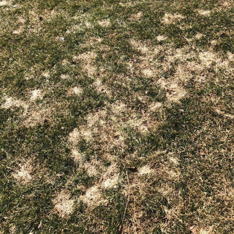 Is your yard still showing signs of winter wear and tear?😕🤢

Our comprehensive Spring Clean-Up service will rejuvenate your outdoor space, removing debris, pruning plants, and preparing your lawn for lush growth. Let's get your property ready for t