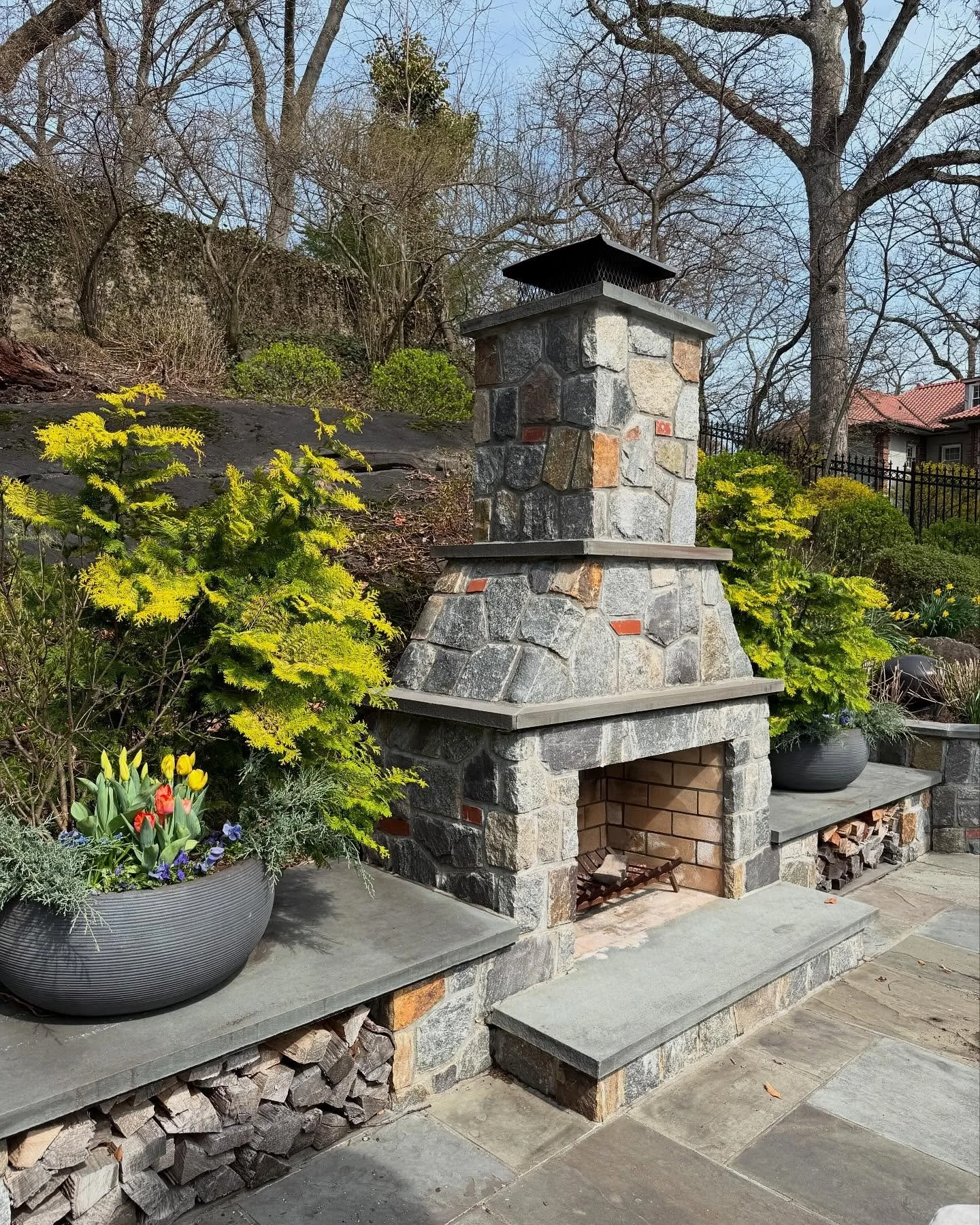 Season opener. 🌱🐿️☀️🌷⚾️🕷️🐇🌿