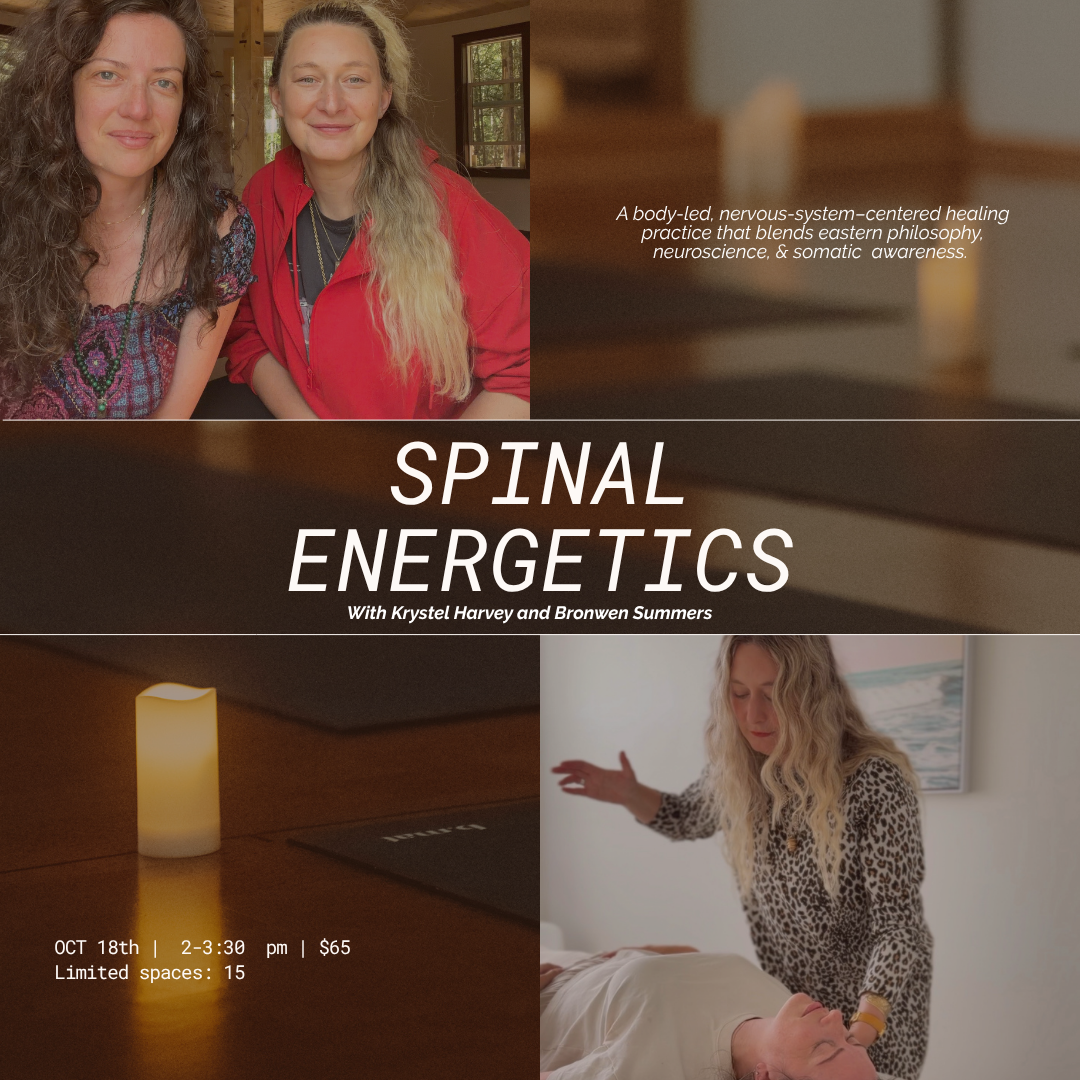 Spinal Energetics Group Session