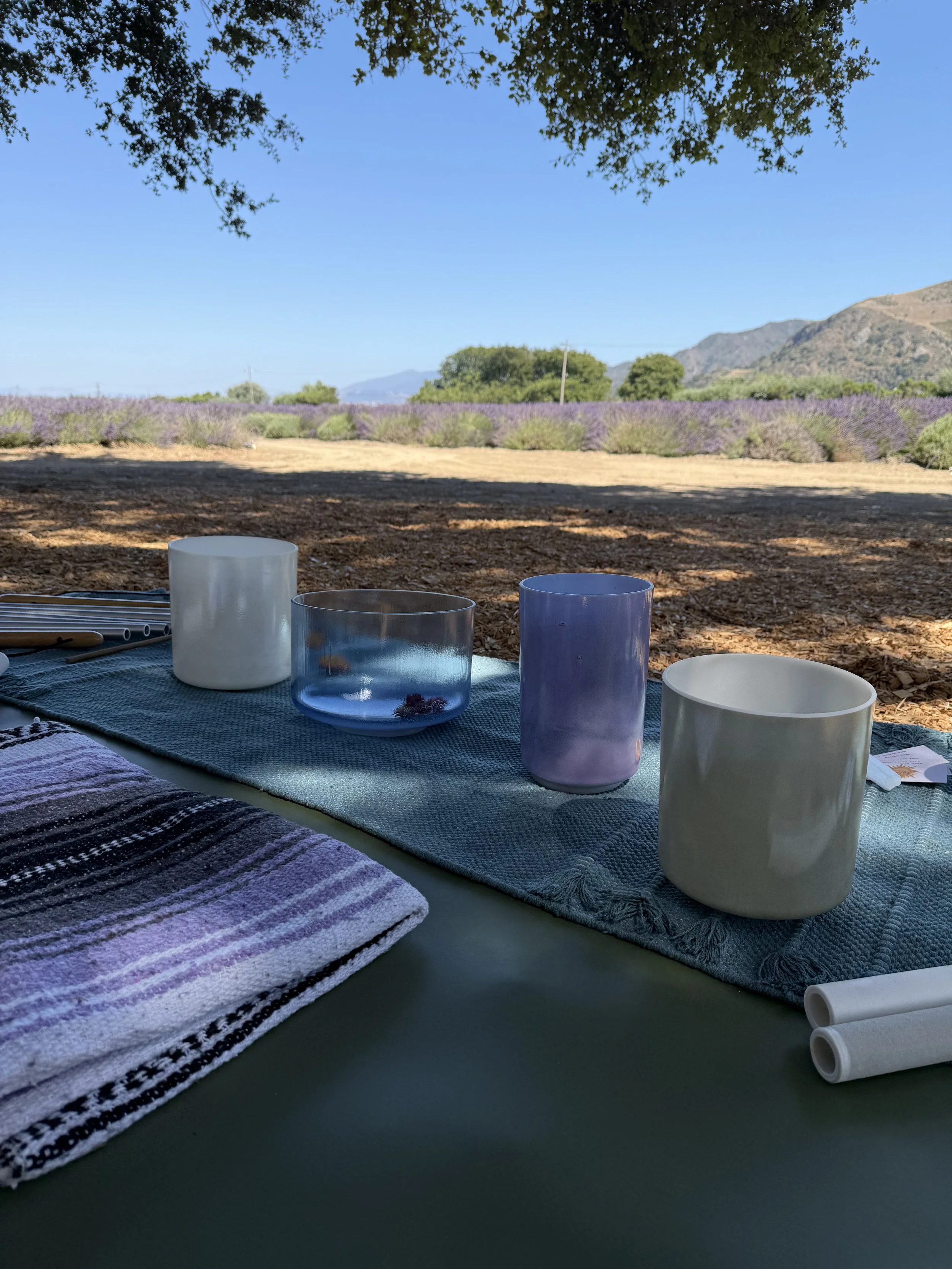 4th of July Sound Bath in the Lavender Fields