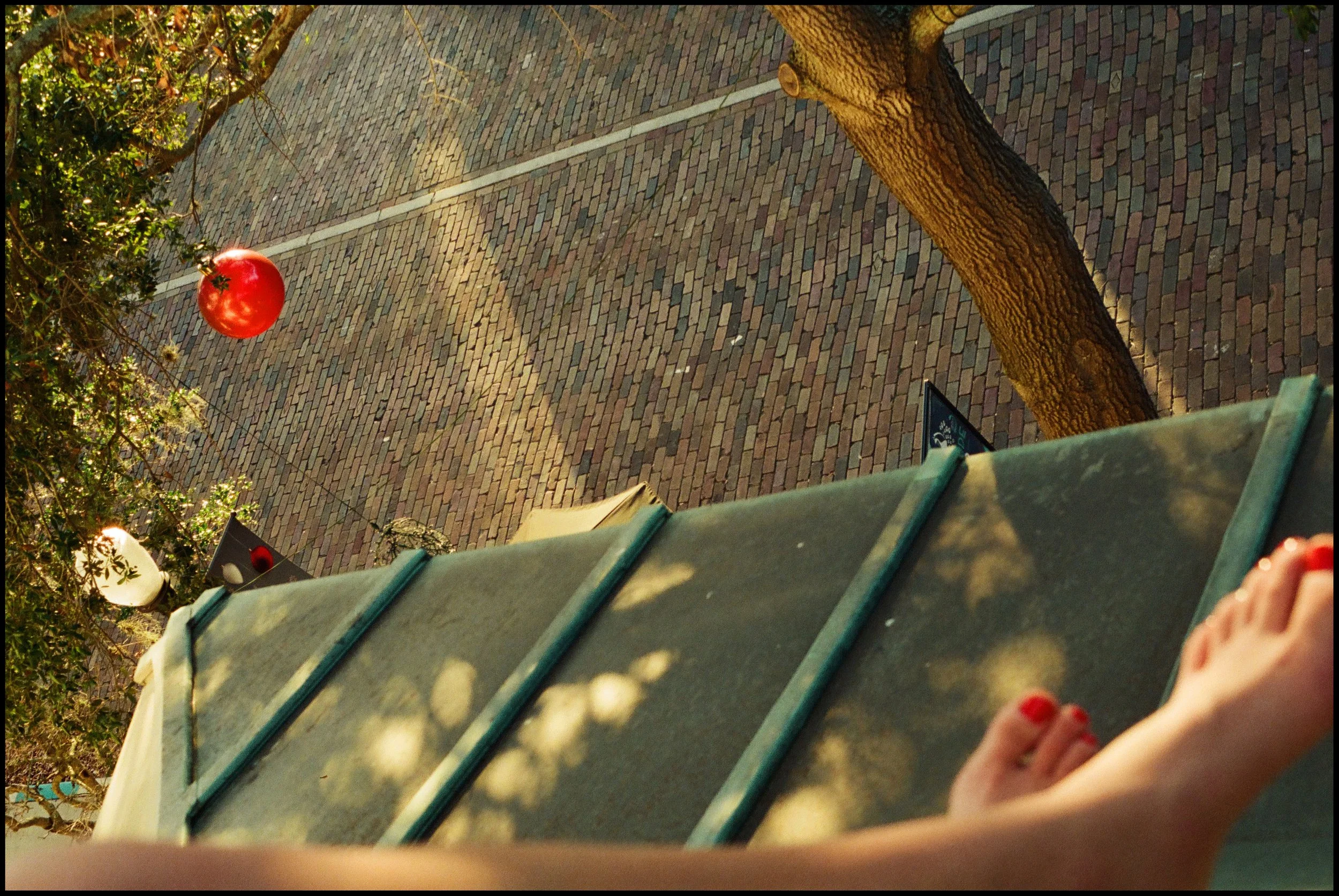 A person standing on a ledge or balcony, looking down at a sidewalk with Christmas ornaments hanging from a tree, including a red ornament, amidst sunlight and shadows.