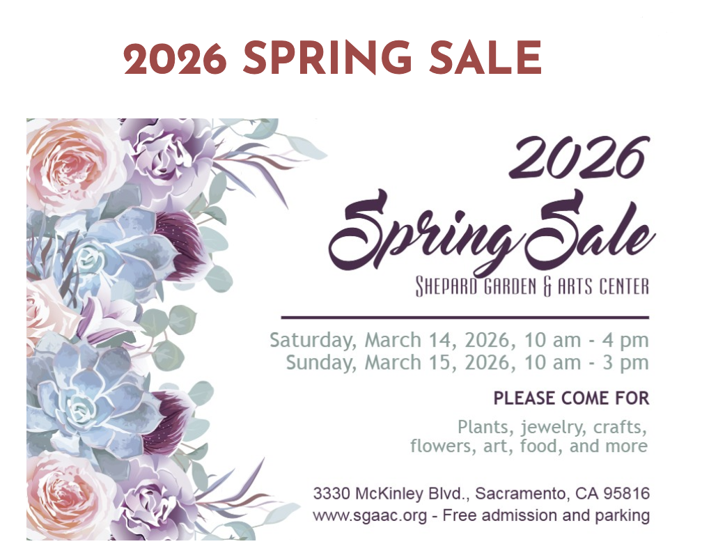 Spring Sale