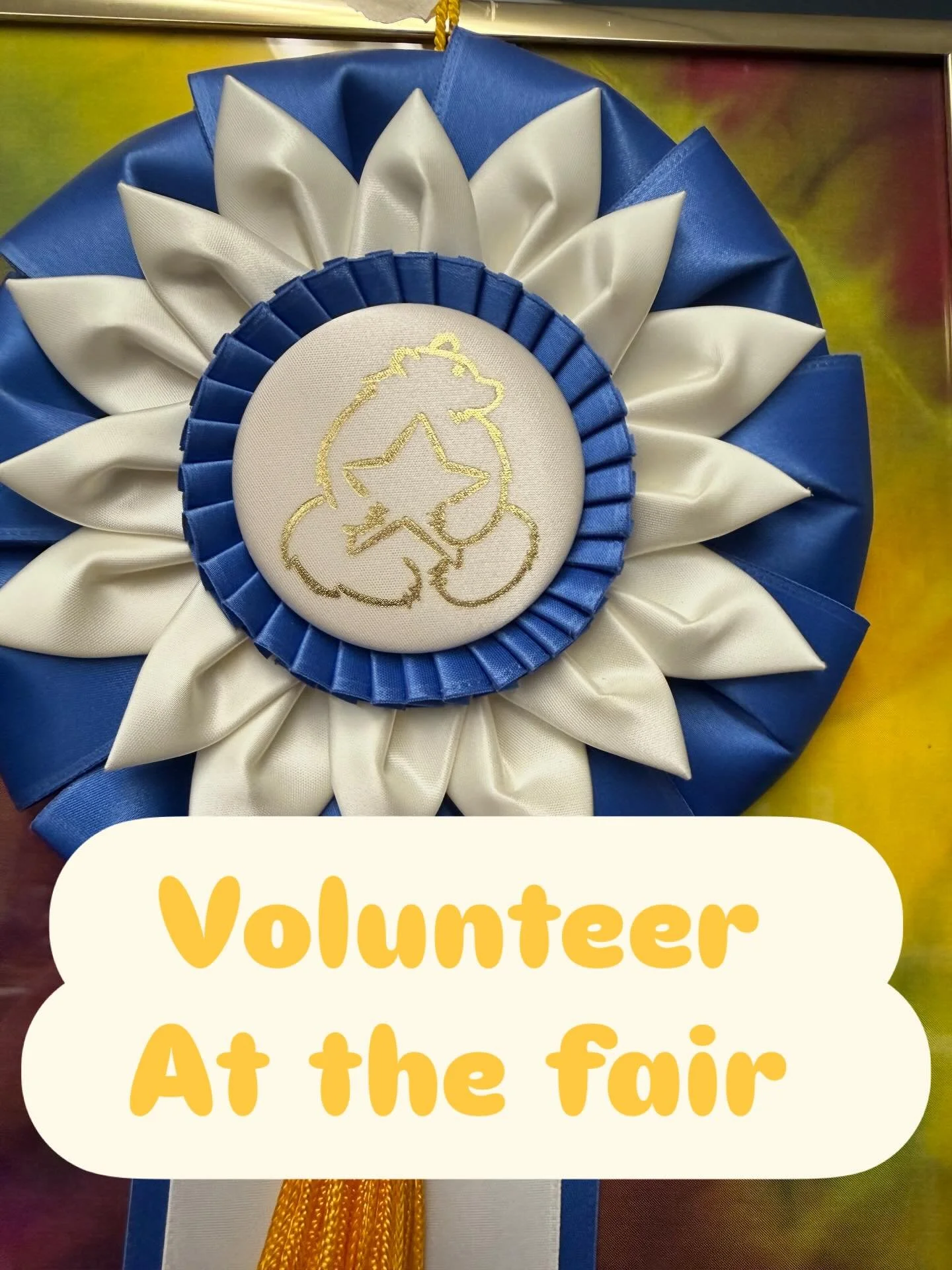 We need volunteers at the state faire. Come and demonstrate those skills for our community. We need volunteers both Saturday 18th and Sunday 19th. Please let us know if you can join us. #statefair #scta #sacevent #volunteer