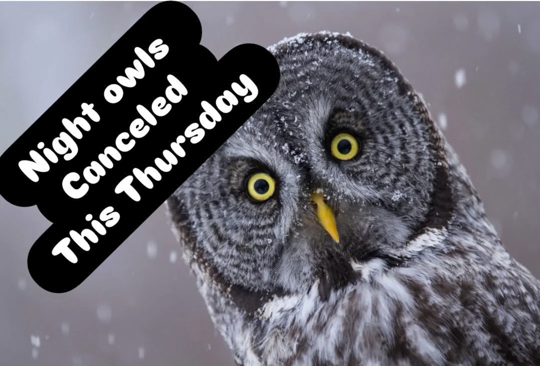 This Thursday, the night owl meeting will be canceled. We will see you next month. #scta #textilearts #sewist #fabricstash