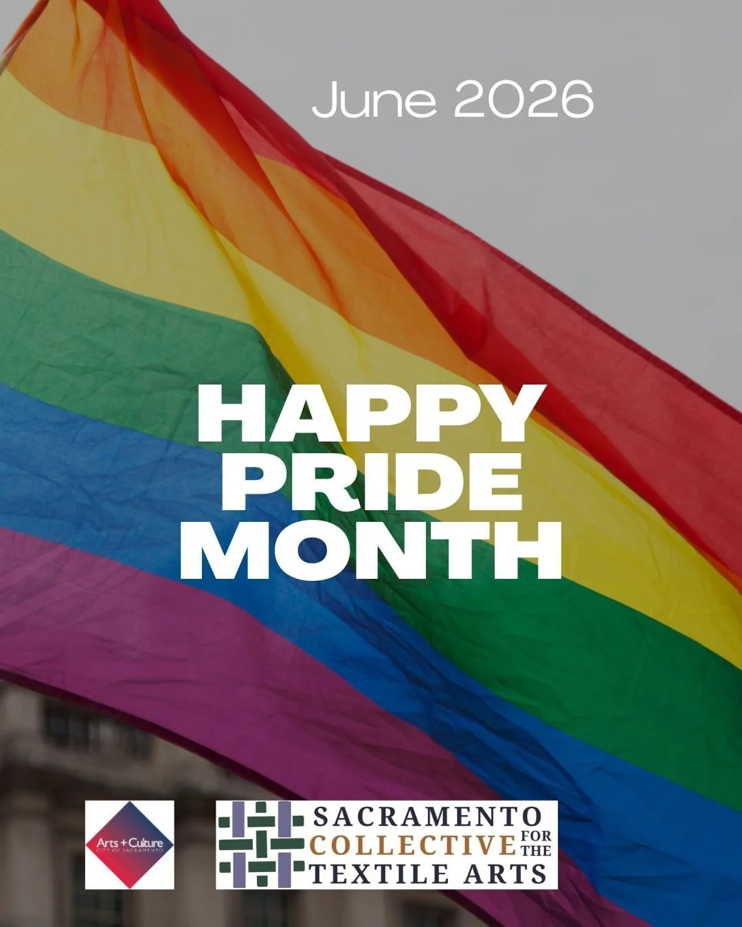 Happy Pride Month! #scta #fiberart #pride #rainbow