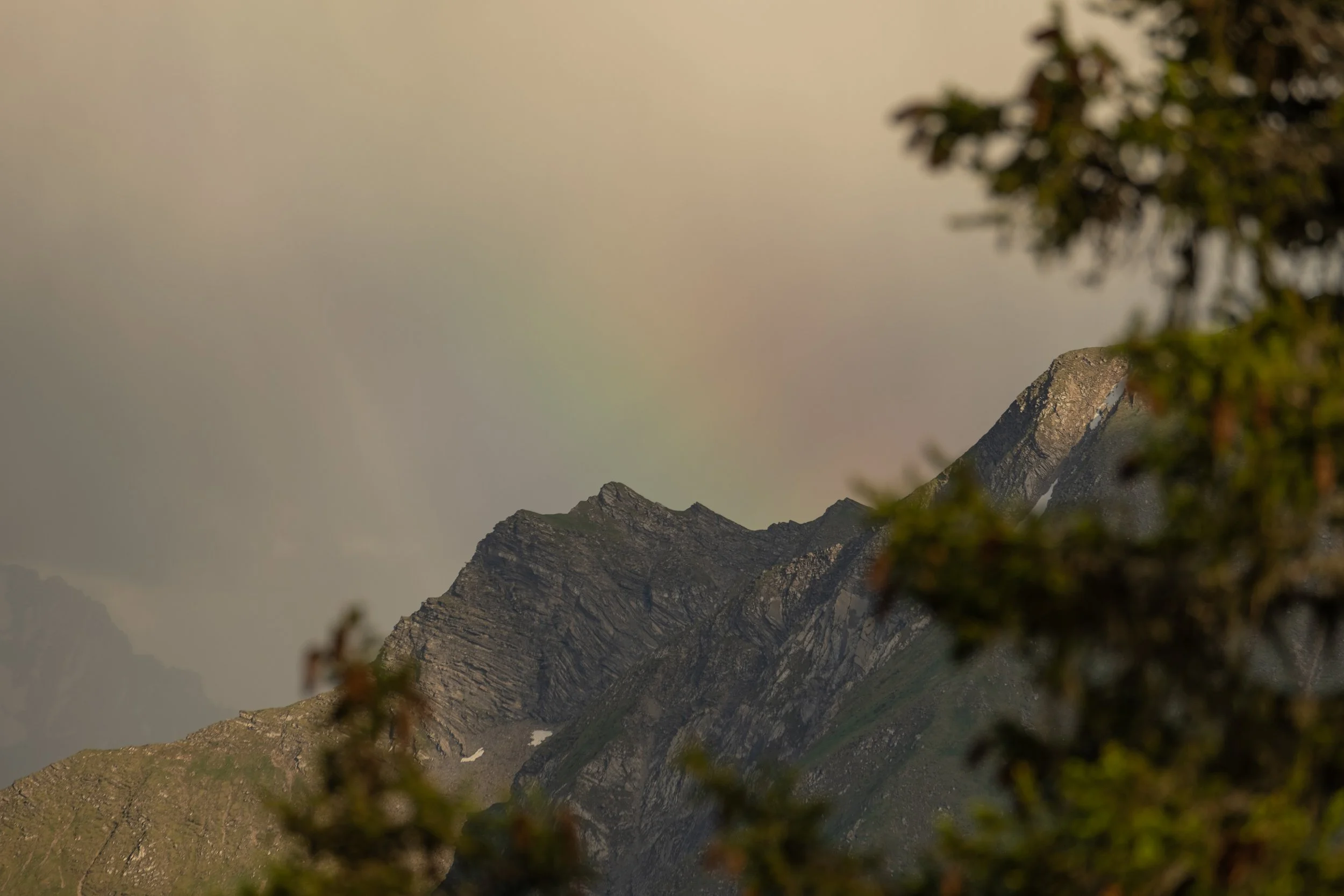Berggipfel hinter Bäumen im Nebel
