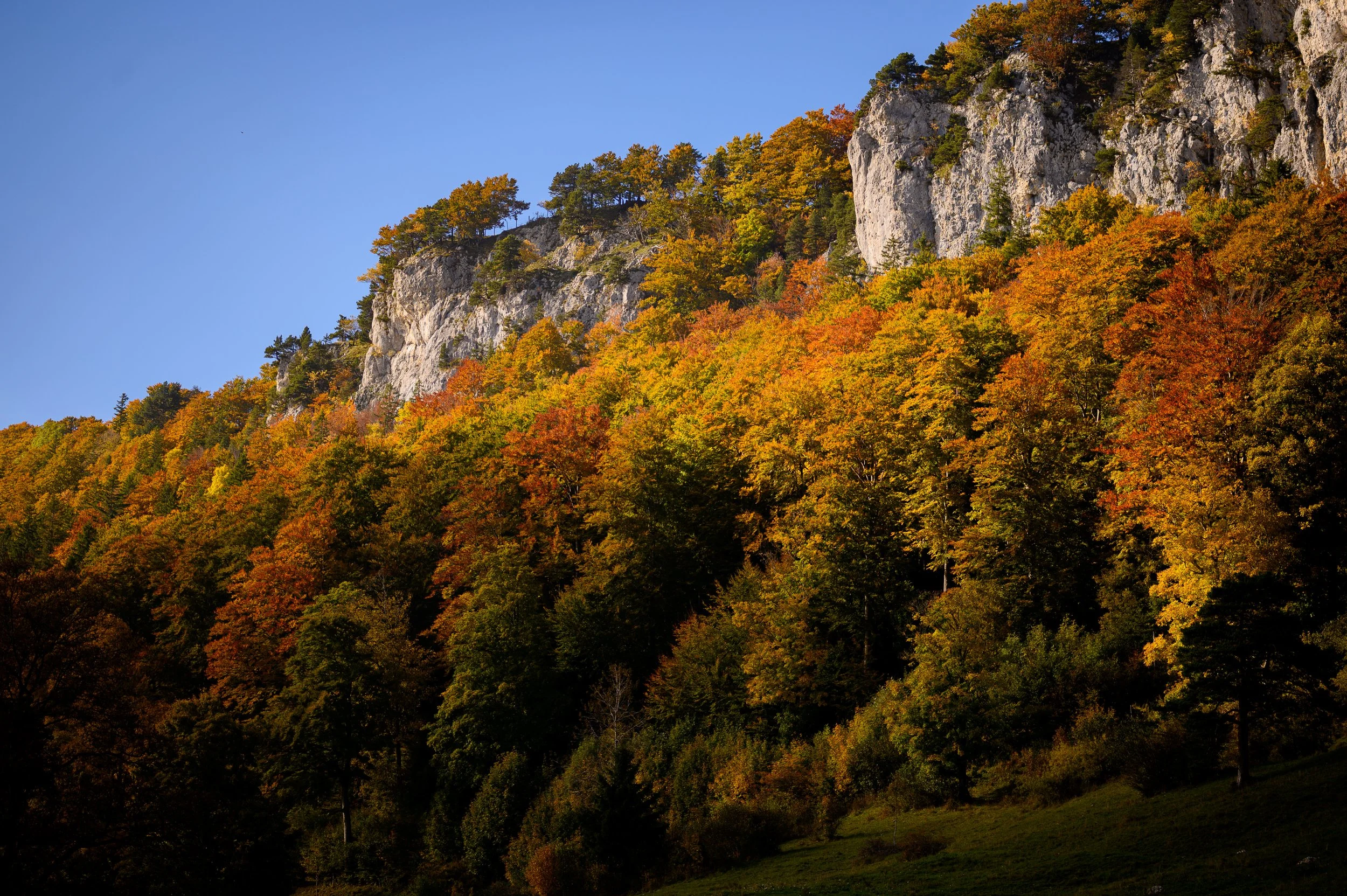 Berg mit steilen Felsen und Bäumen in bunten Herbstfarben unter blauem Himmel.