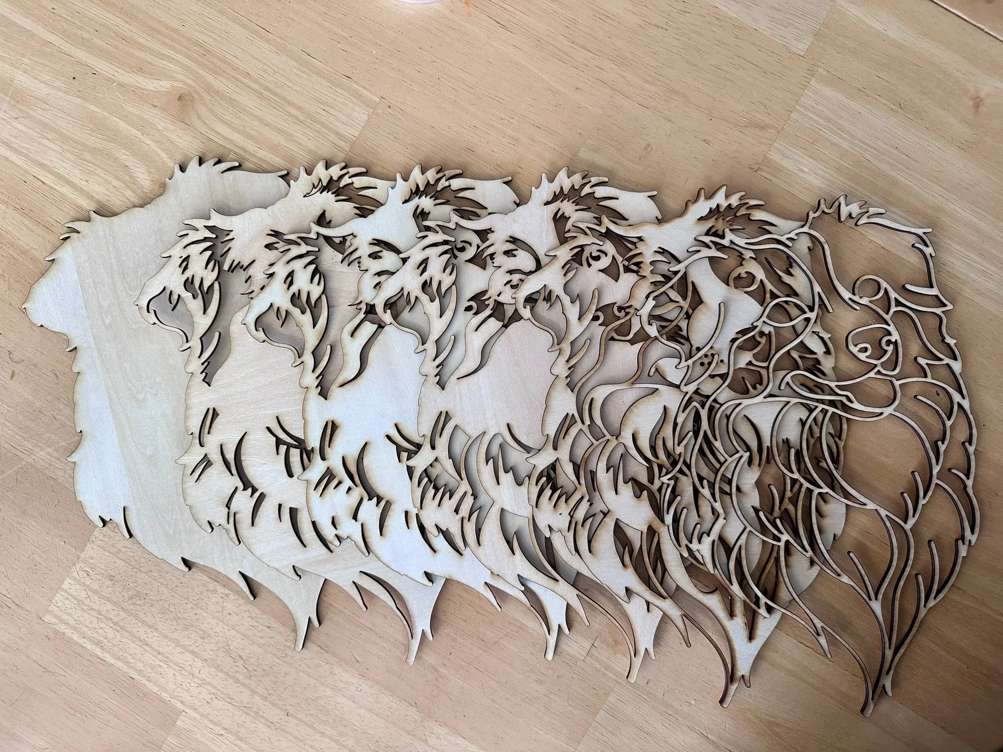 web aussie head layers.jpg