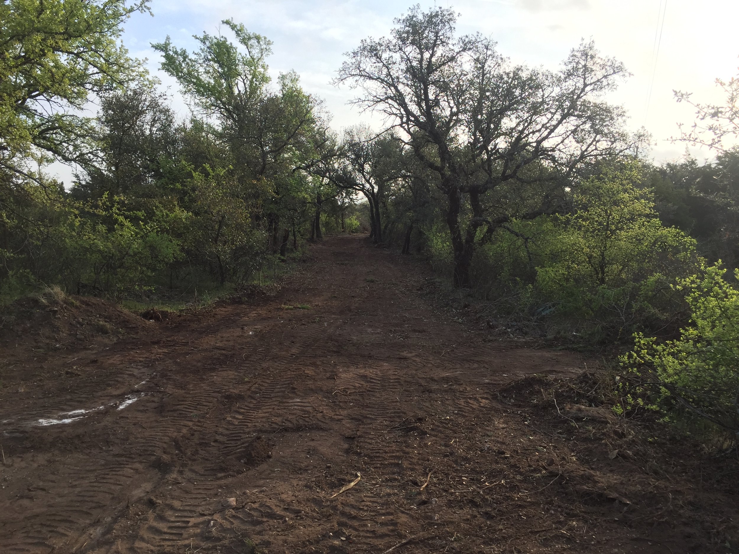 A dirt trail winding through a forested area with green trees and a bright sky.