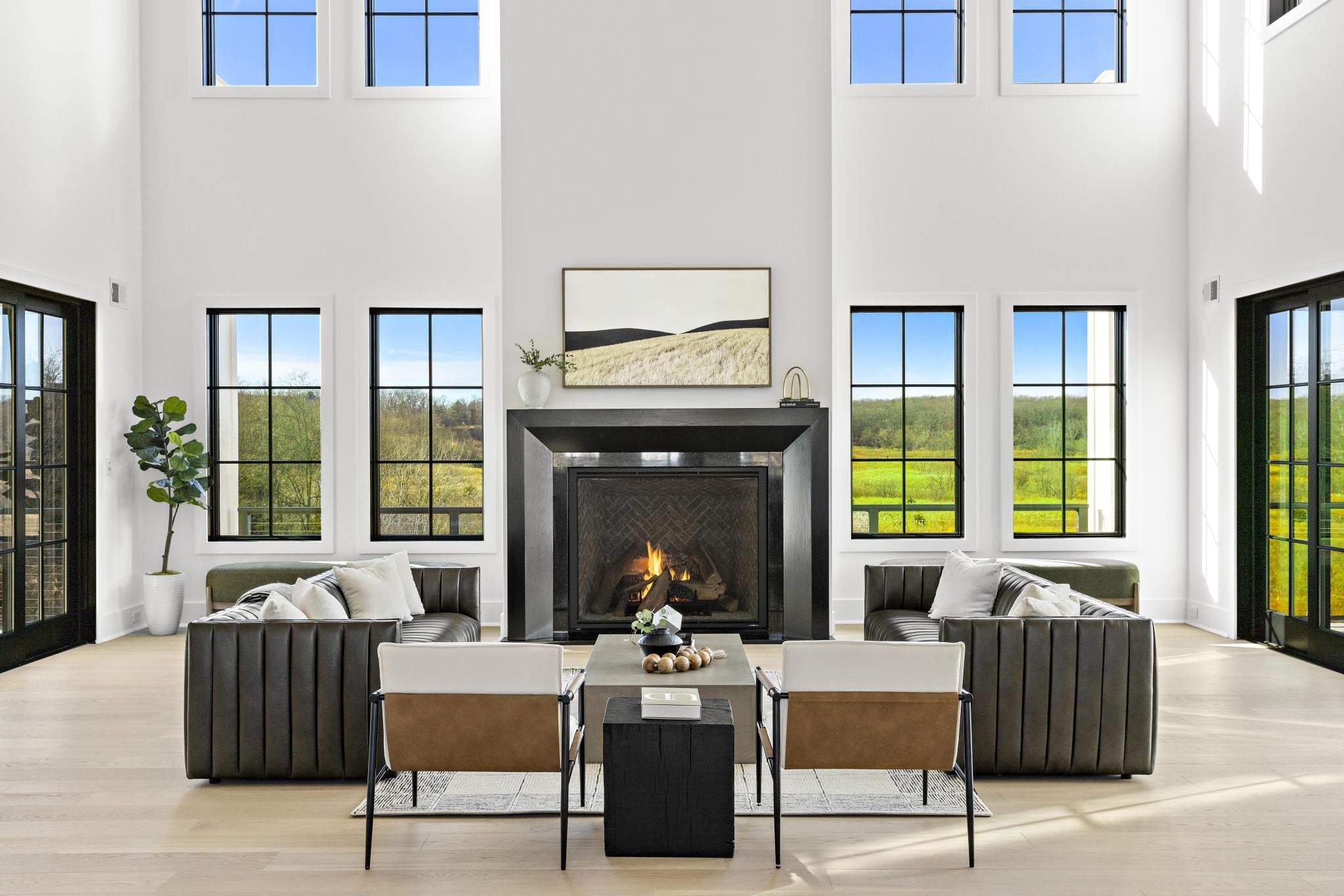 Bright living room with a white wall, black fireplace, and large windows showing green landscape, decorated with modern furniture and houseplants.