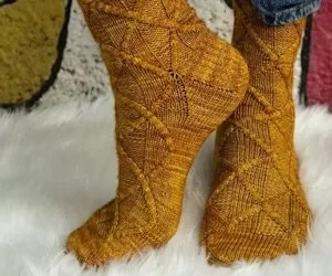 malabrigo sock.jpeg