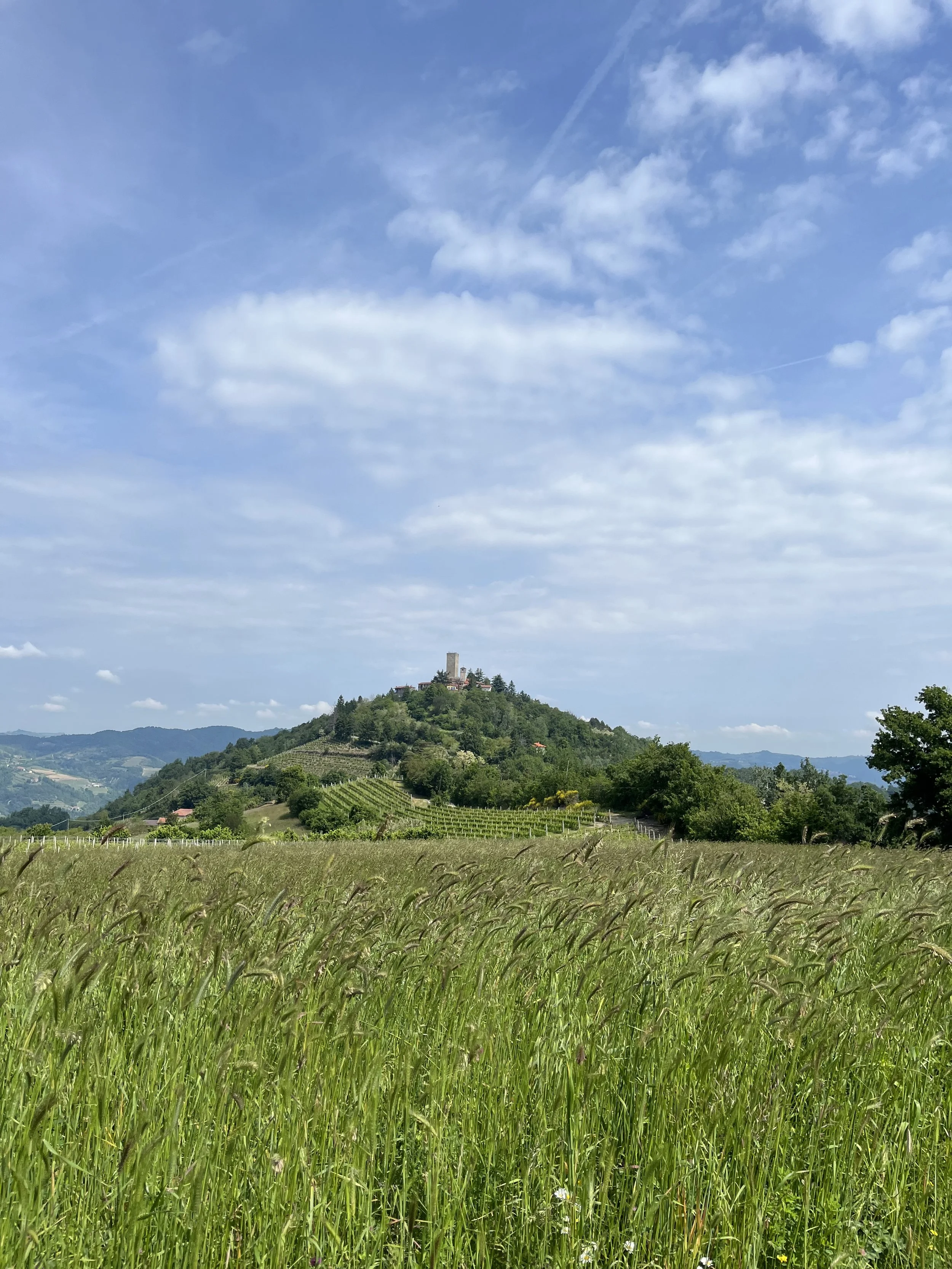 Italian hilltop town in Piedmont, Italy
