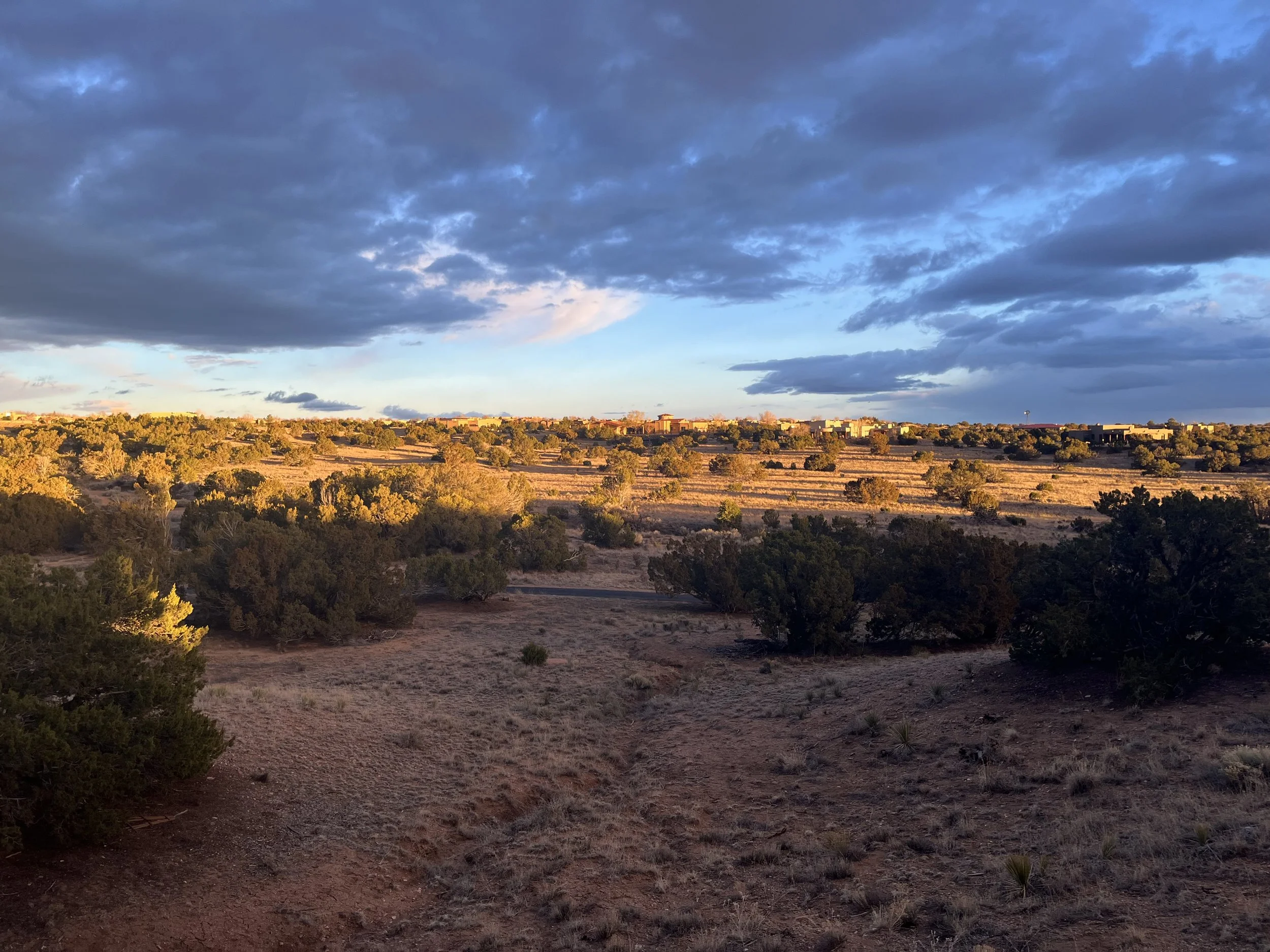 Desert landscape in Santa Fe, New Mexico