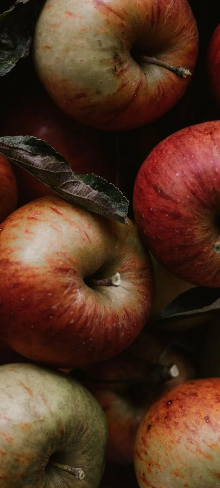 Close-up of several apples with varying red, green, and yellow colors and some leaves around them.