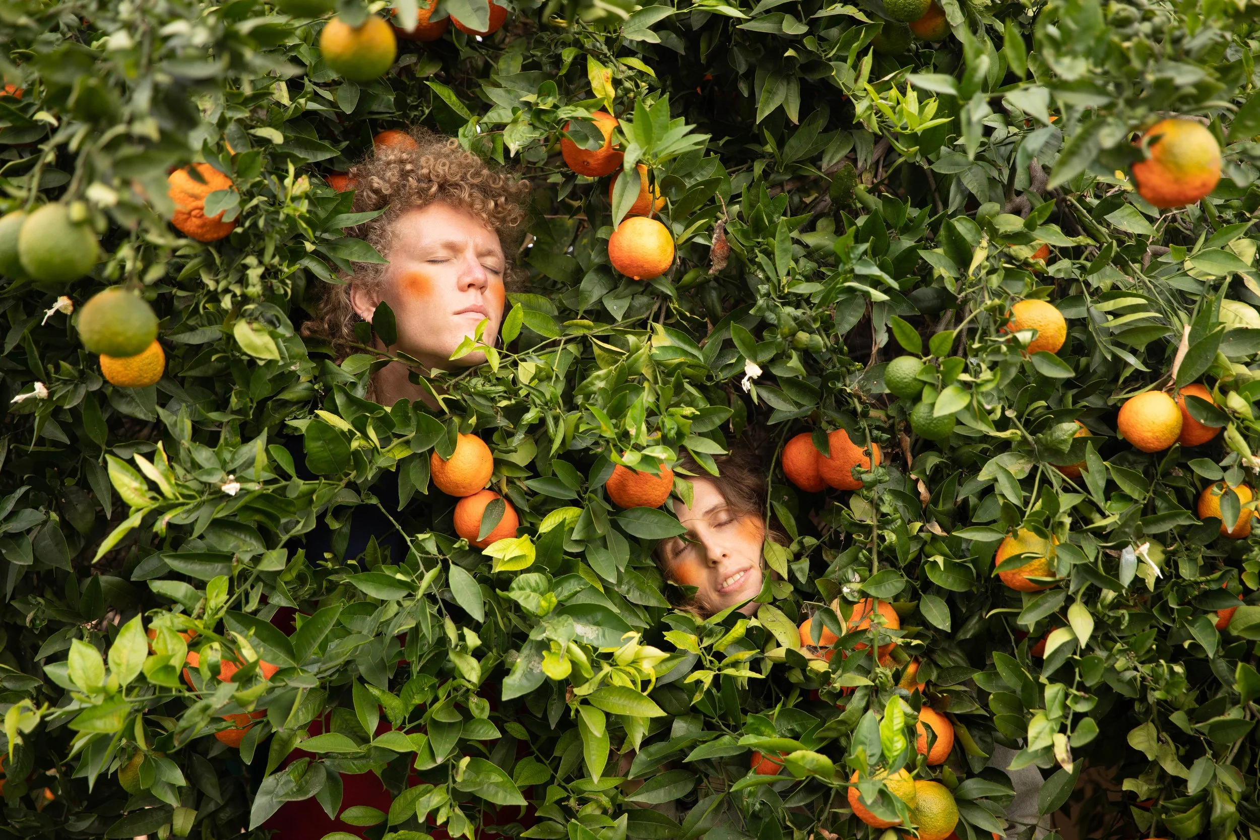 SophiaOranges_WEB-2 copy.jpg