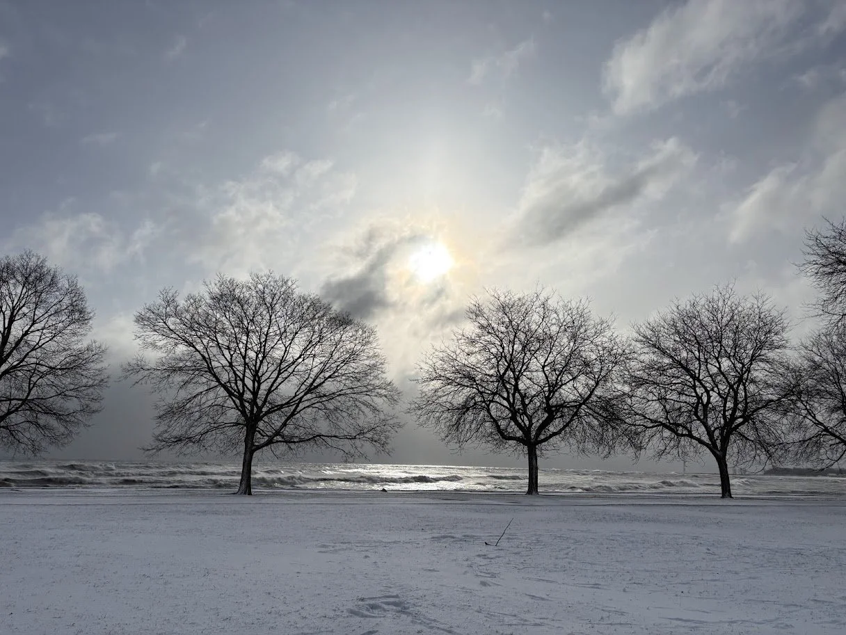 Foster and Lake Michigan
