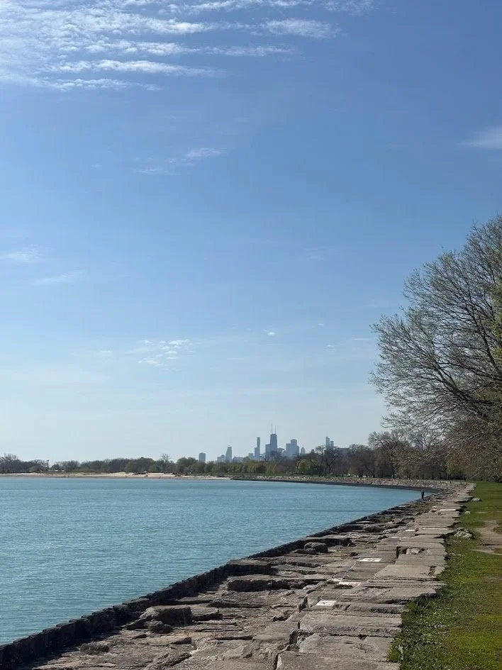 Chicago Skyline