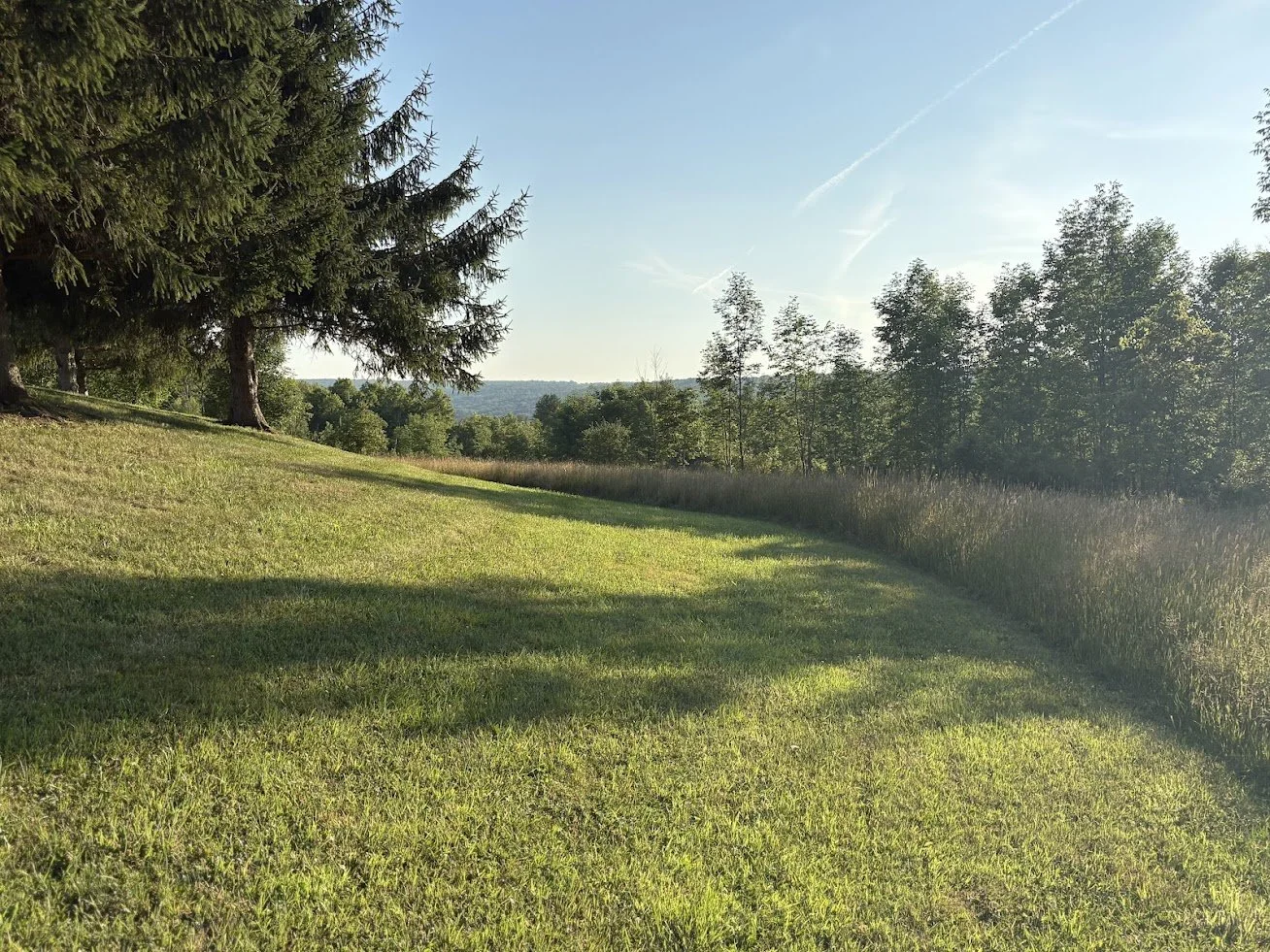 A grassy field with trees on the left and right sides, with a view of distant hills and a clear sky with wispy clouds.