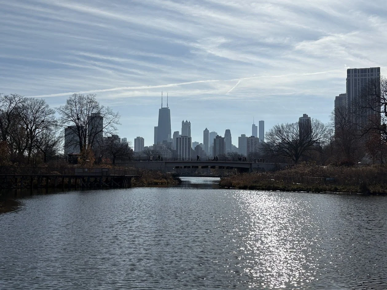 Lincoln Park Zoo Views