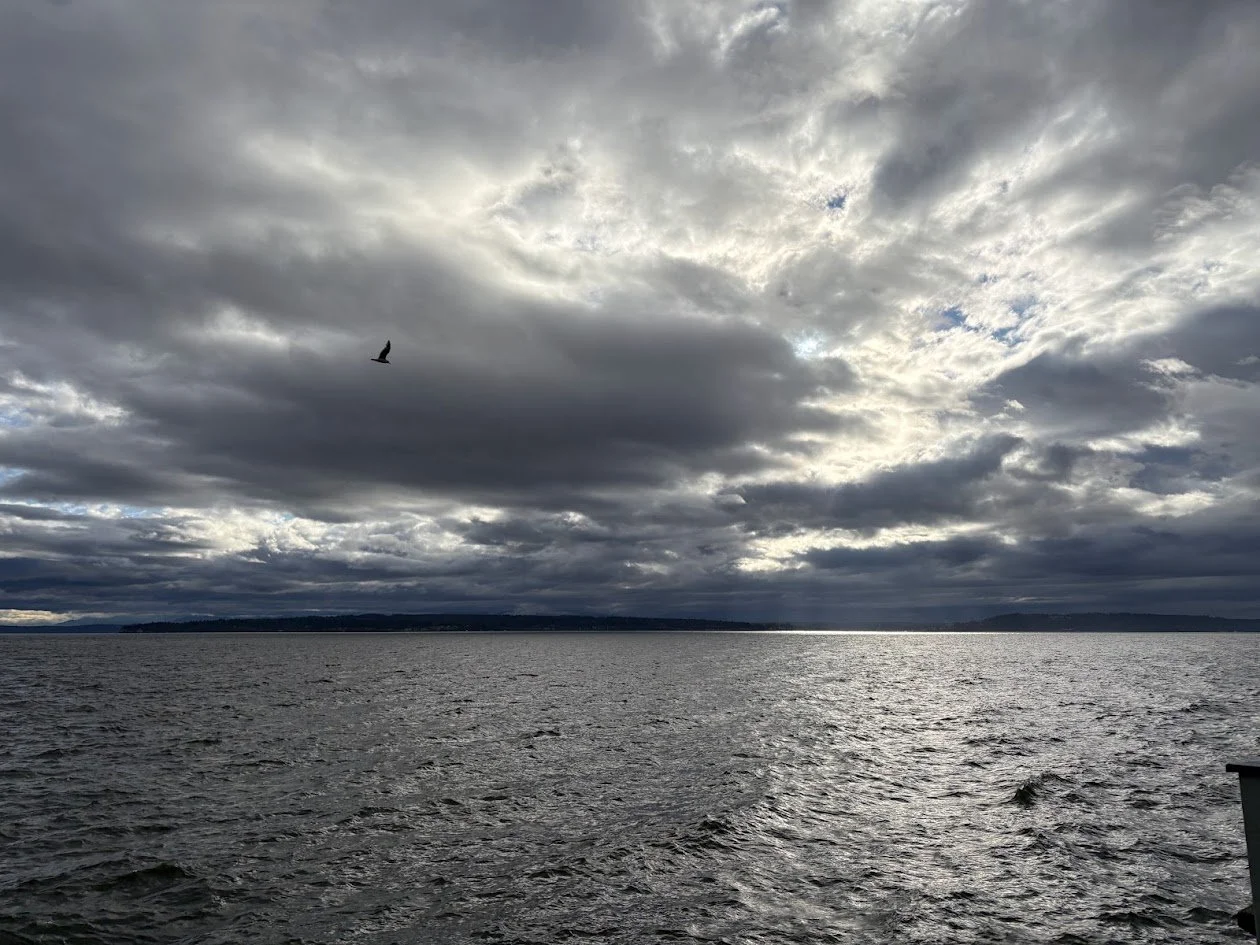 Shoreline, Washington, Seattle, Bird flying high, Mountain range