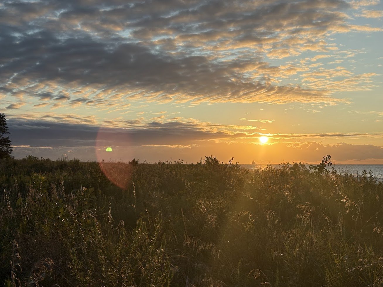 Sunset over a grassy field with shrubs, with the sky partly cloudy and the sun near the horizon, on a clear day.