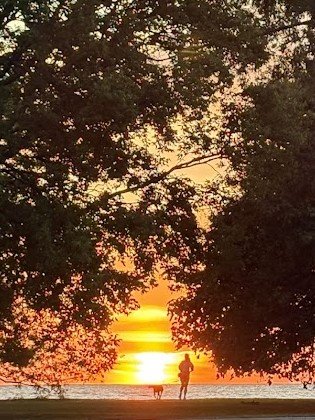 Dog, Person, Sunrise. Chicago. Argyle and Lakefront trail.