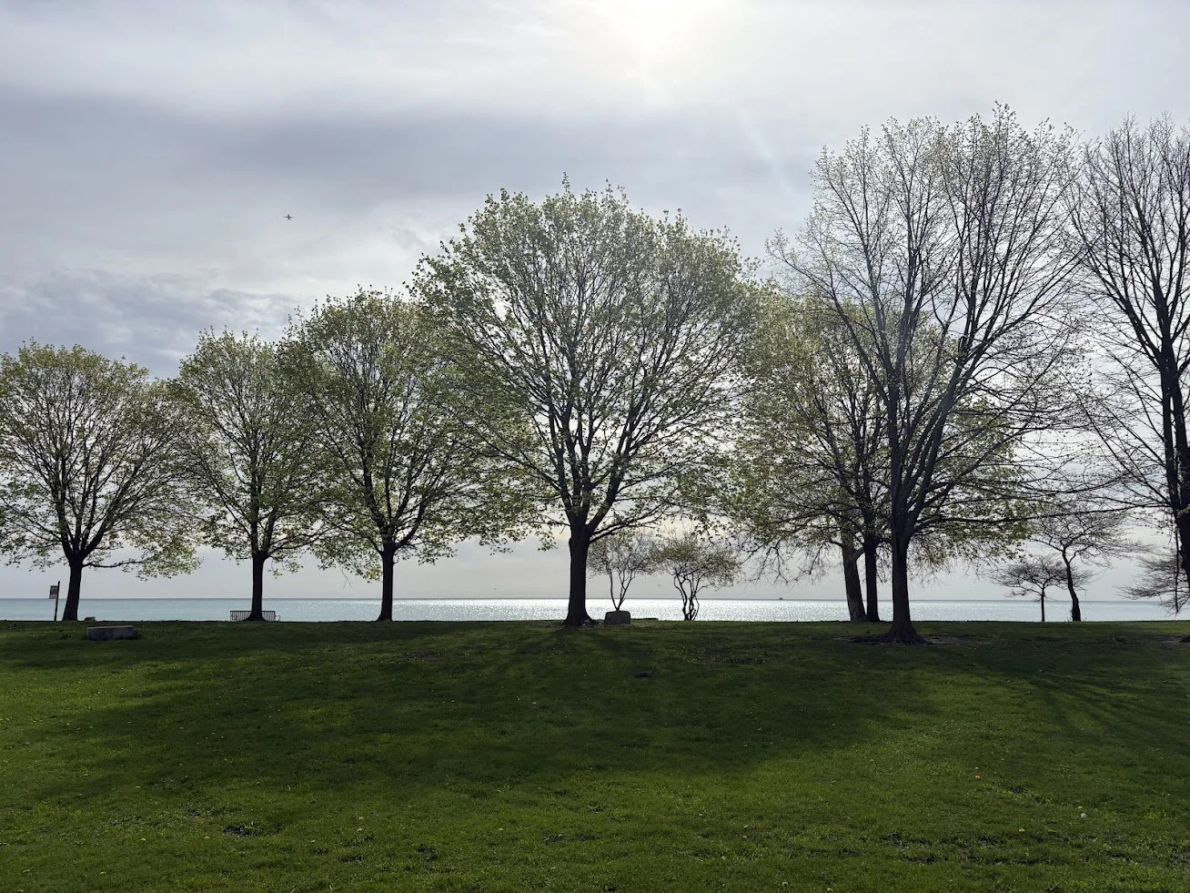 Park with green grass and large trees near a body of water on a cloudy day.