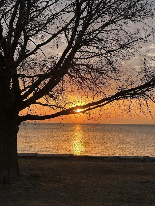 Argyle and Lake Michigan
