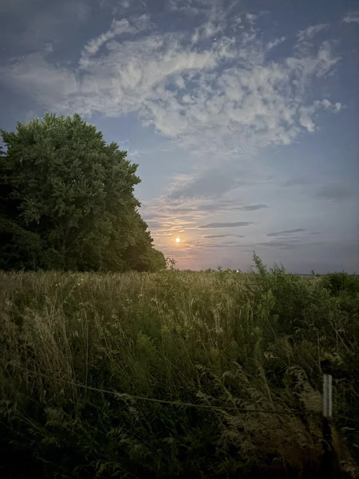 A scenic landscape at sunset with a partly cloudy sky, the moon visible near the horizon, a large green tree on the left, and a grassy field in the foreground.