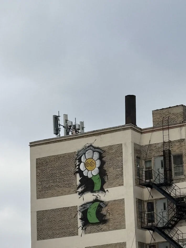 Beautiful Graffiti Building Argyle Area. Lawrence Area.