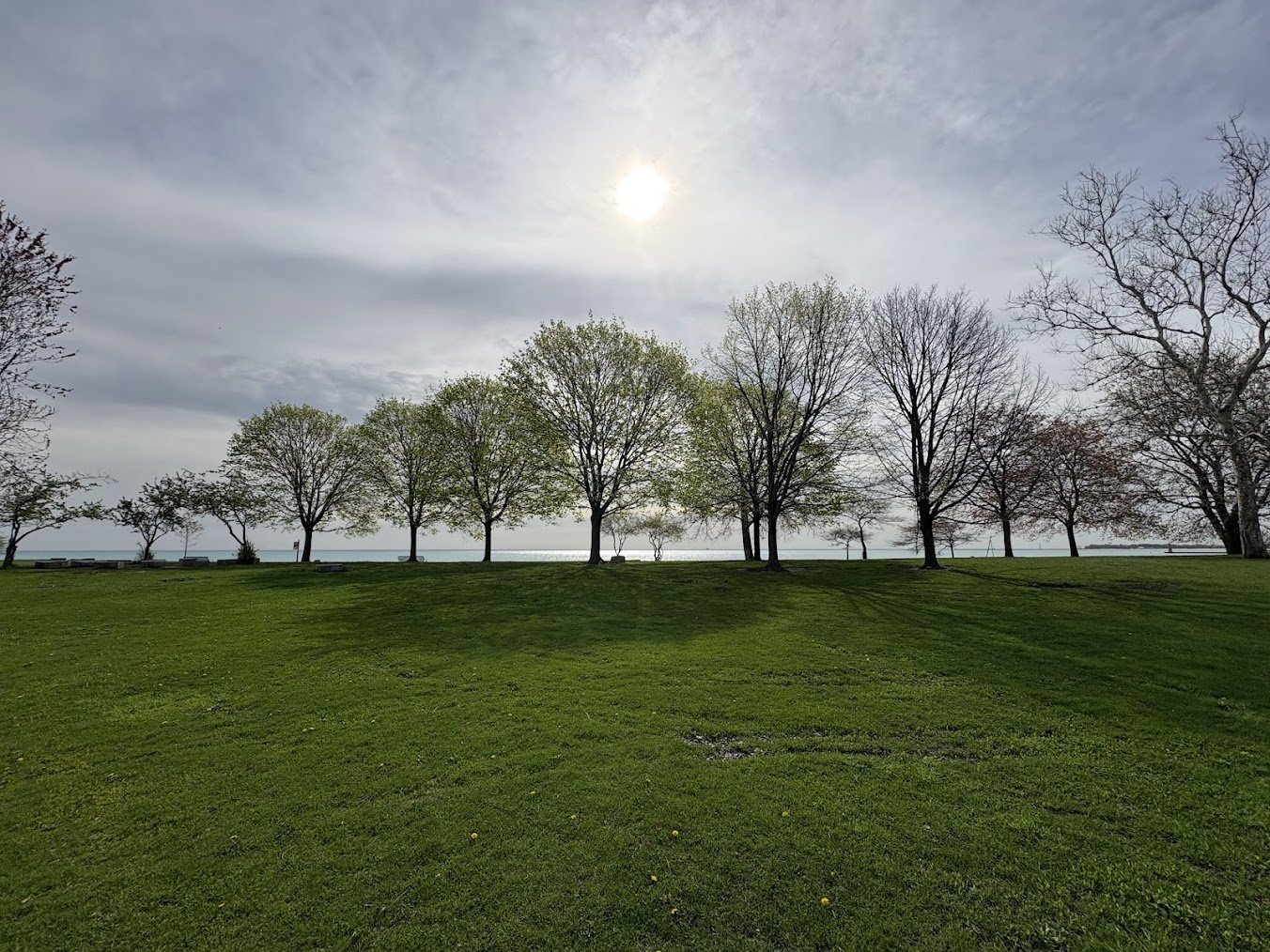 A grassy park with trees, some with leaves and others without, under a cloudy sky with the sun shining through.
