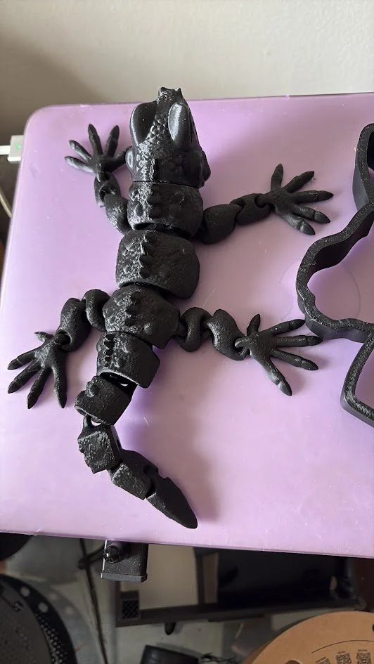 Iguana Tou.jpg