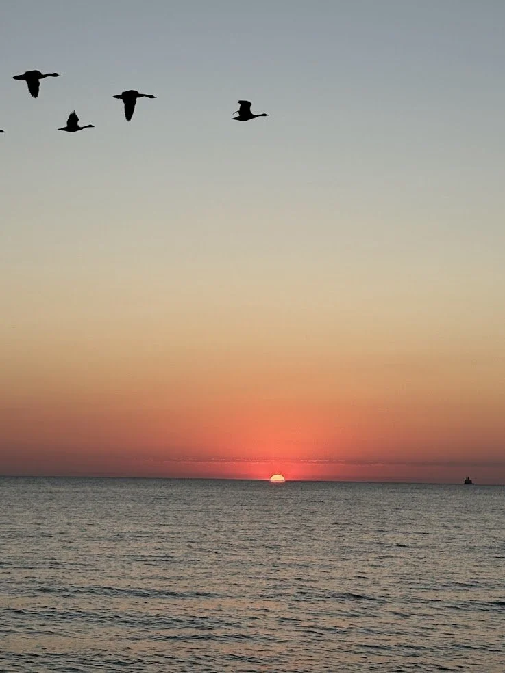 A sunset over the ocean with a group of five birds flying in the sky.