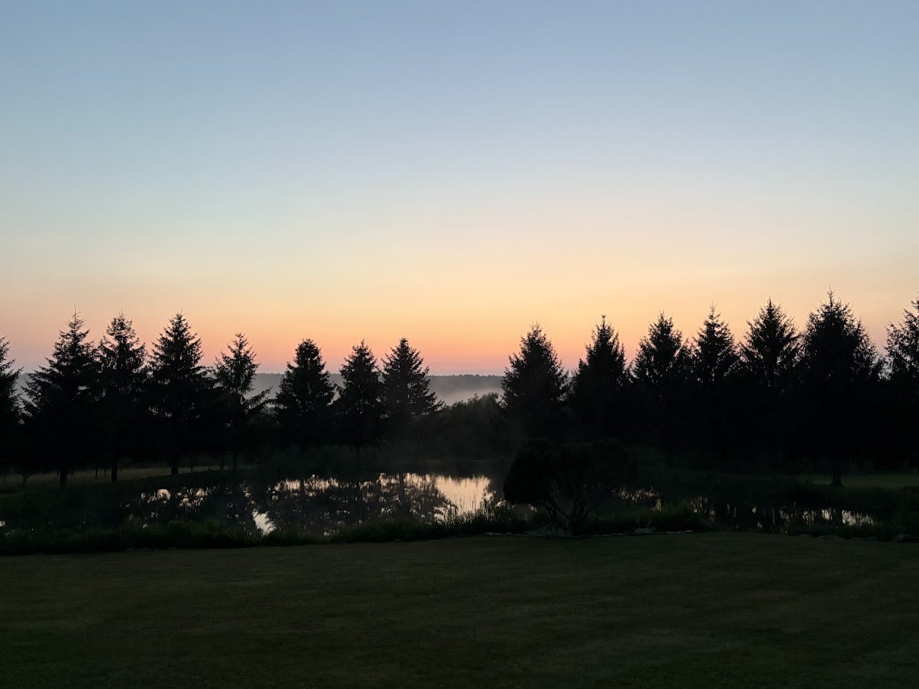 Sunset over a calm pond with silhouette of pine trees and a grassy area in the foreground.