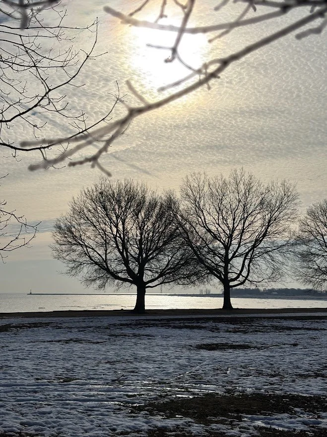 Argyle and Lake Michigan, Chicago, Illinois, Two Trees, Lakefront