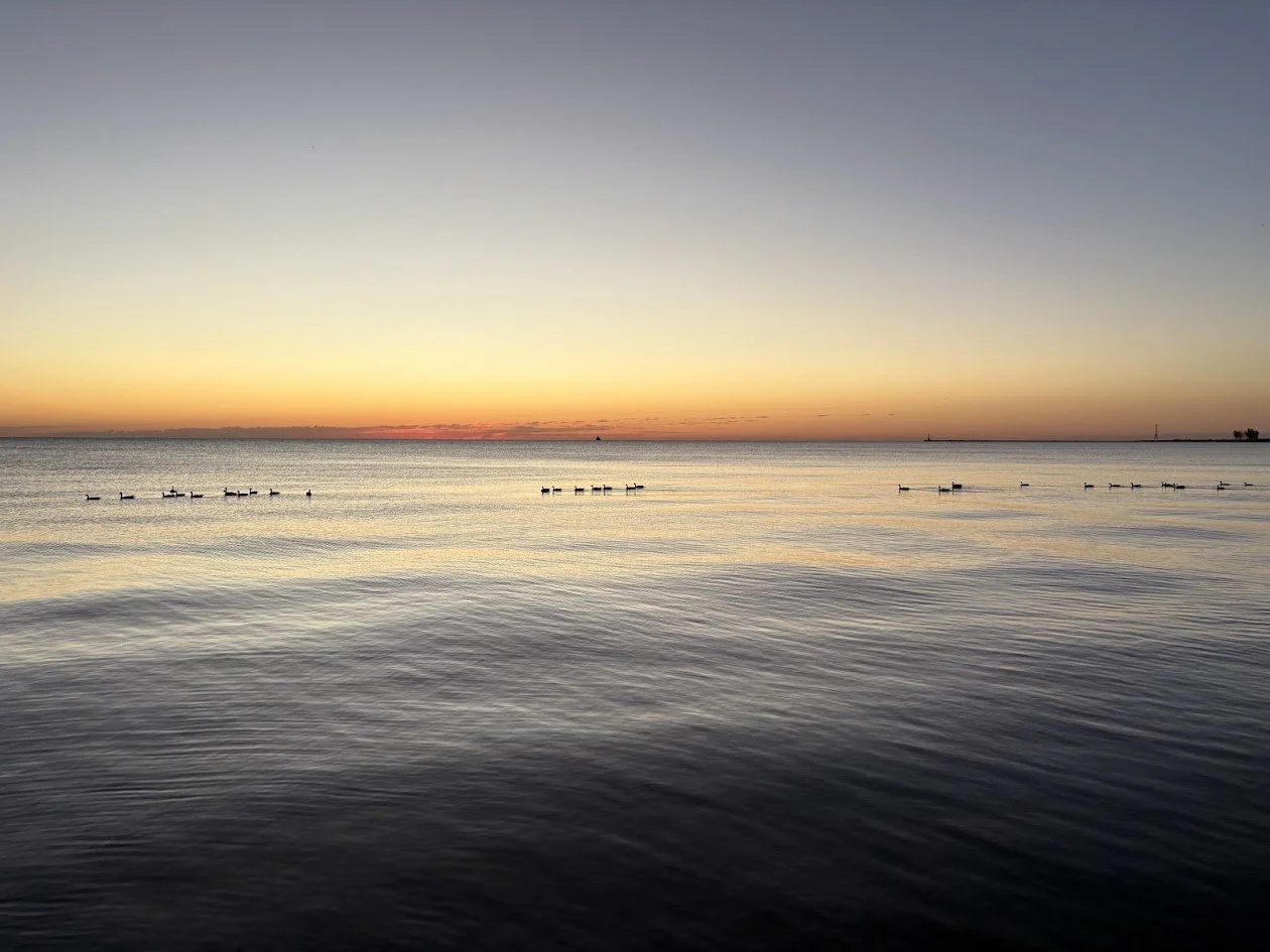 Ducky Morning.jpg
